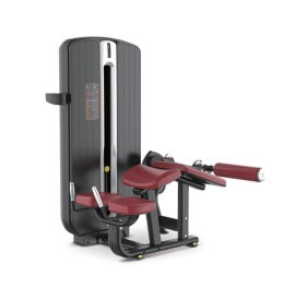 Active Motion Lying Leg Curl product image