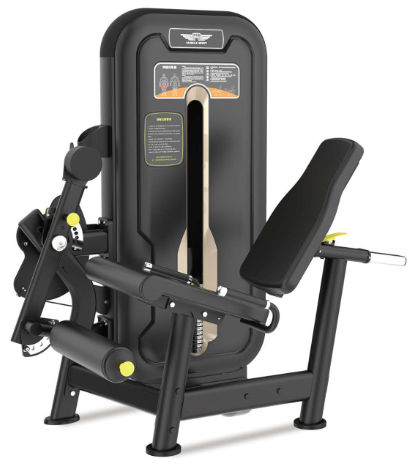 Active Precision Leg Extension product image