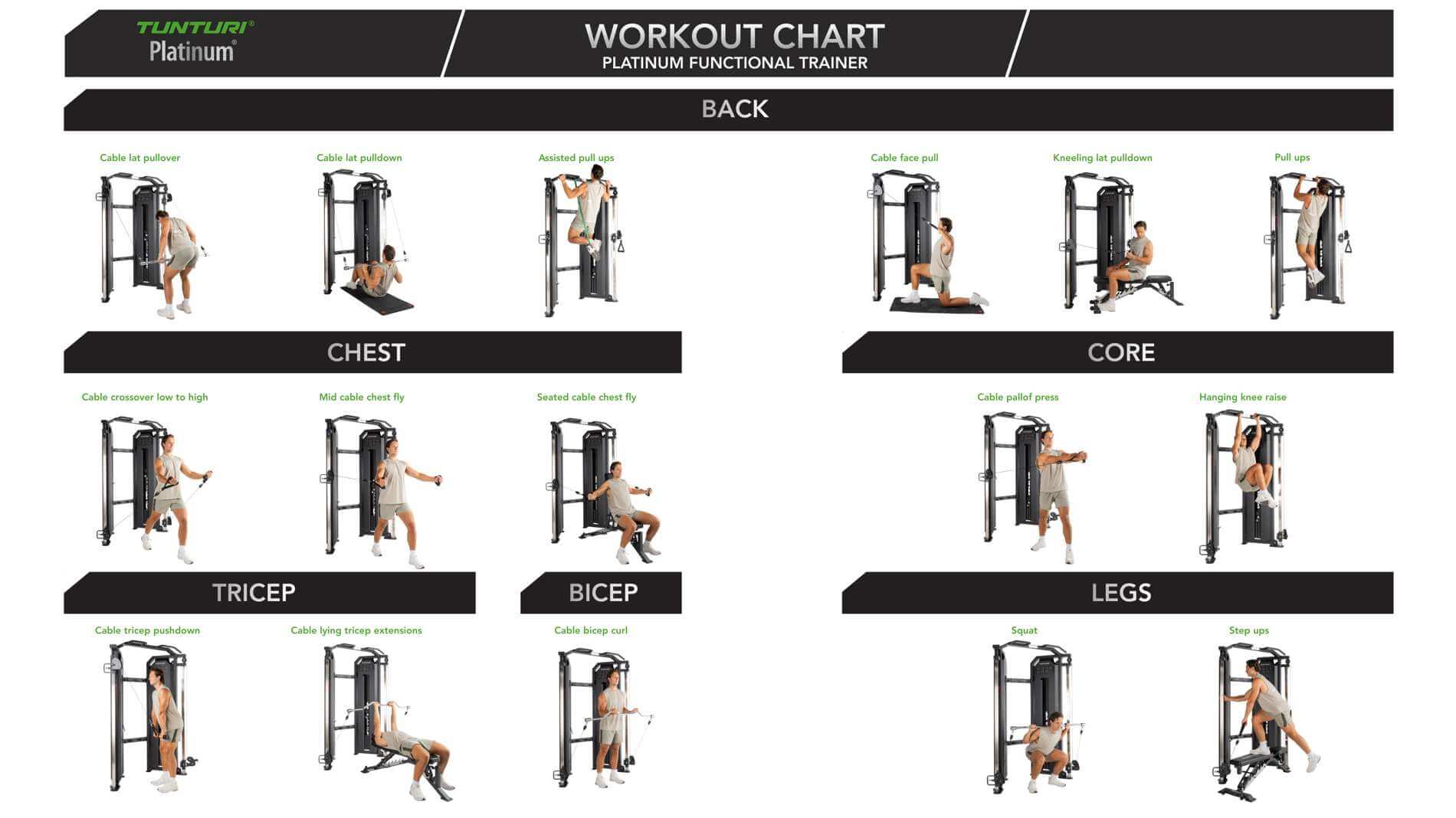 Platinum Functional Trainer - Selectorized detail image 2