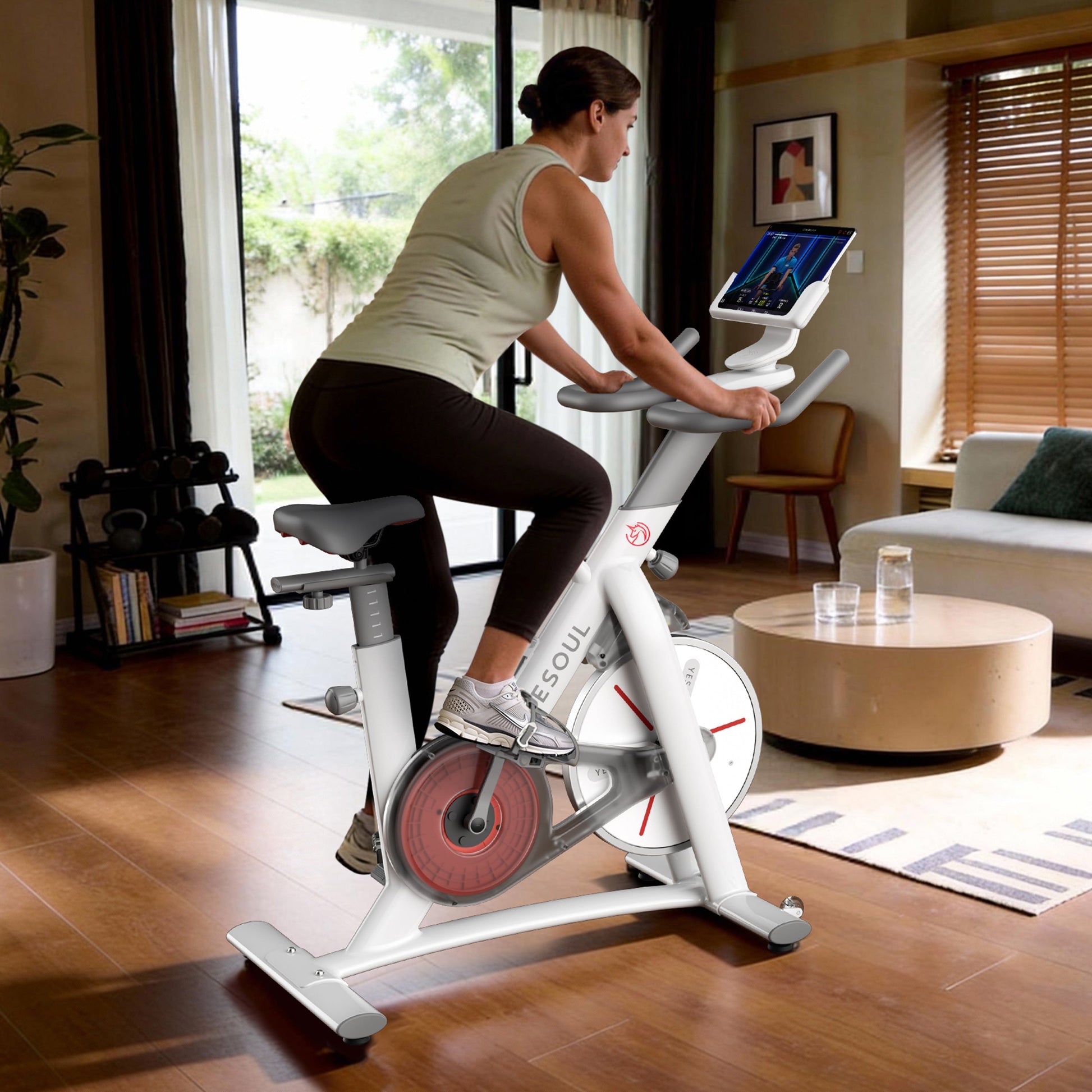 S3 Indoor Exercise Spin Bike detail image 3