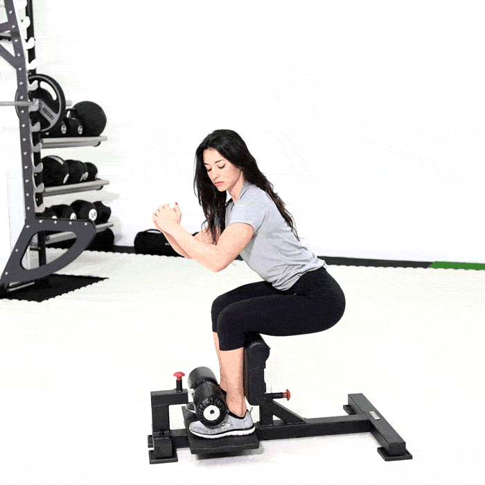 Sissy Squat Trainer detail image 2