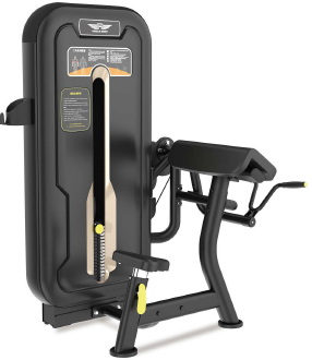 Active Precision Seated Arm Extension detail image 2
