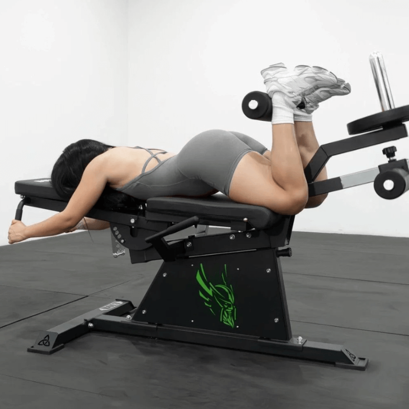 Pro Leg Extension Leg Curl Combo detail image 6