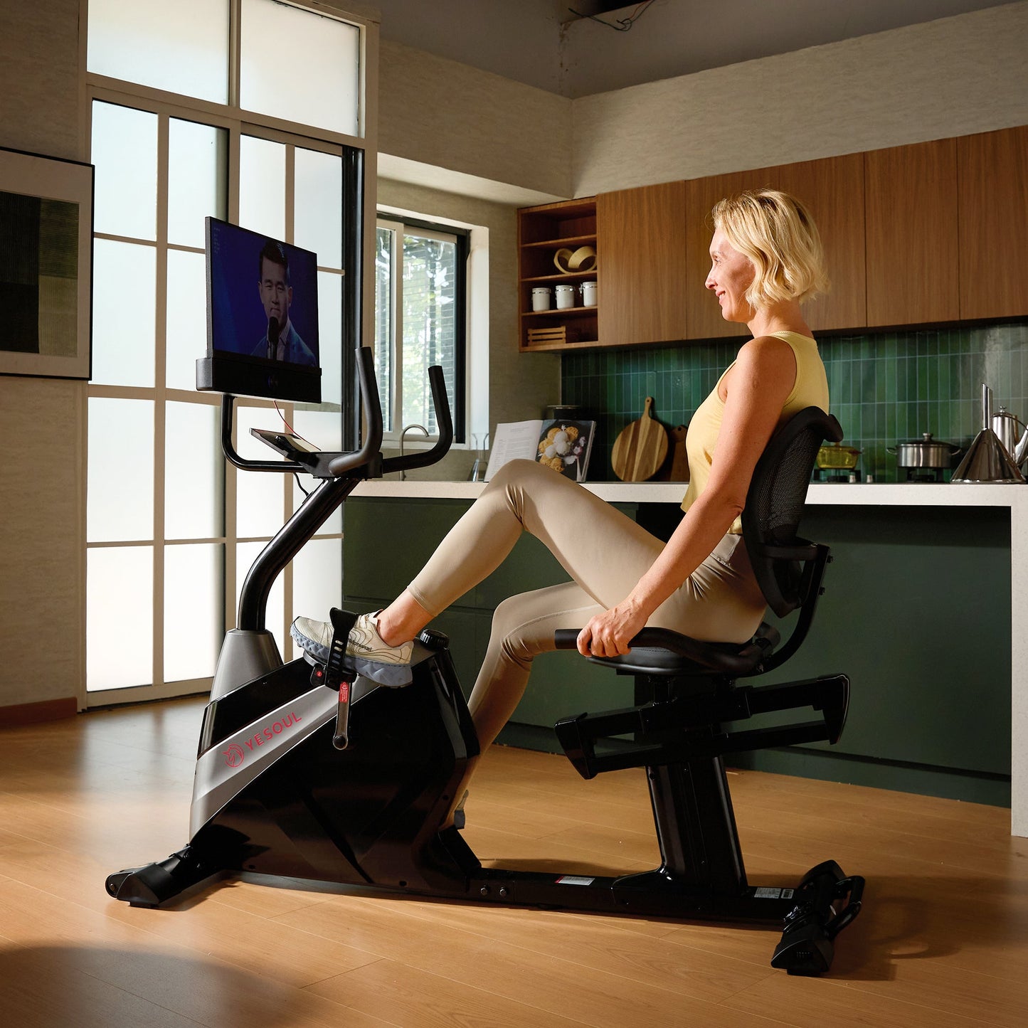 J1m Plus Recumbent Bike detail image 2