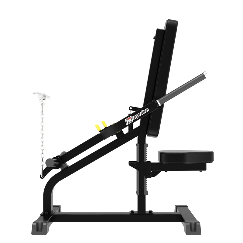 Impulse Ifp1706 Biceps / Triceps Machine detail image 2