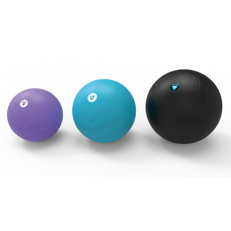 LivePro Aerobic Gym Ball product image