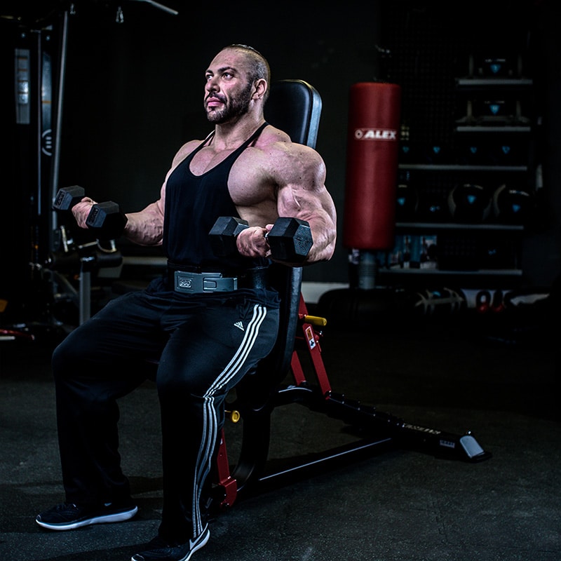 Impulse Sl7011 Sterling Multi Adjustable Gym Bench detail image 2