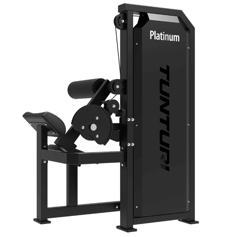 Platinum Dual Back / Abdominal Combo- Selectorized detail image 4