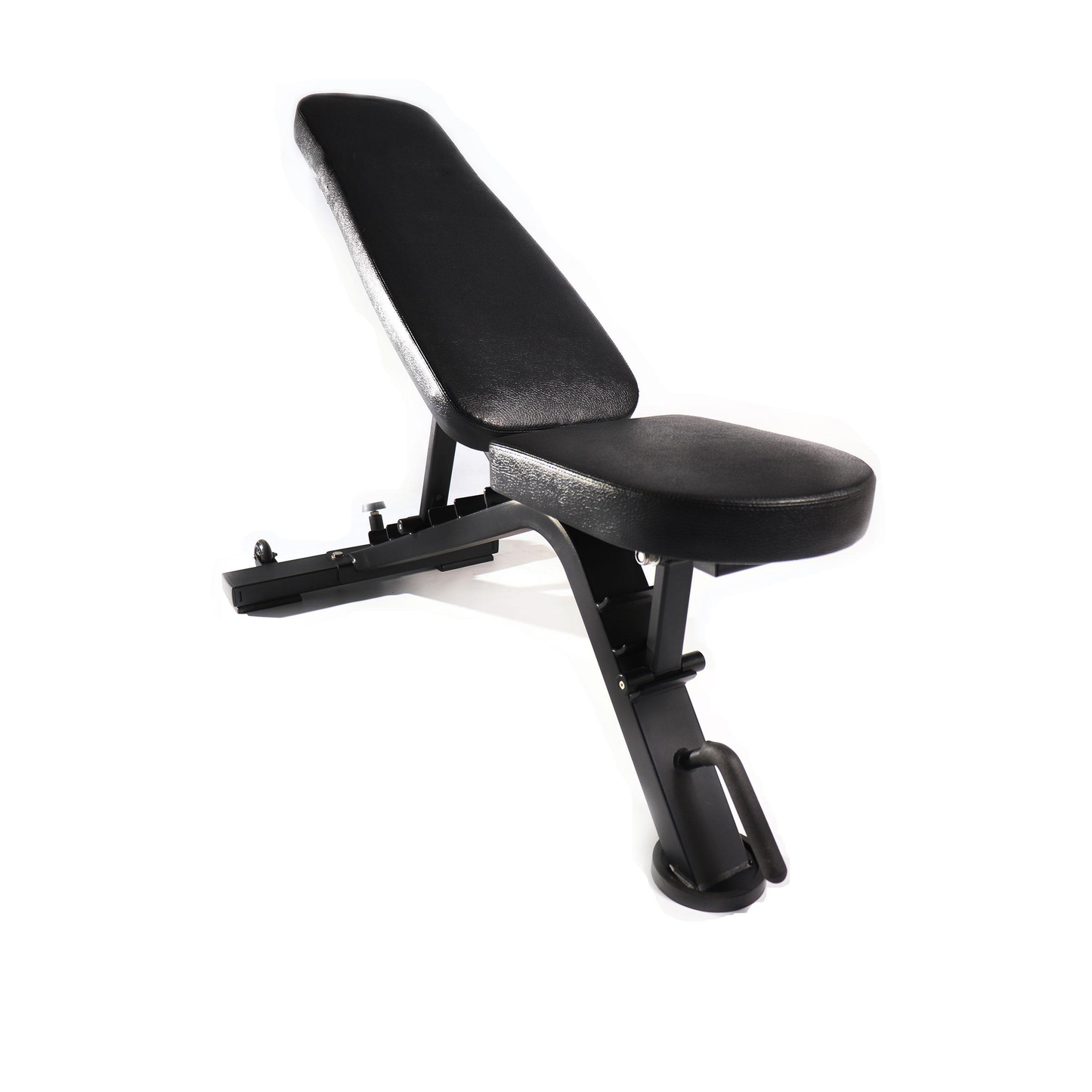 Active Adjustable Multi Function Bench product image