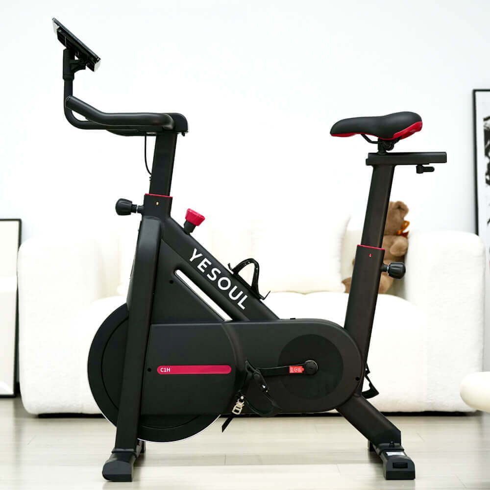 C1a Magnetic Spin Bike detail image 4