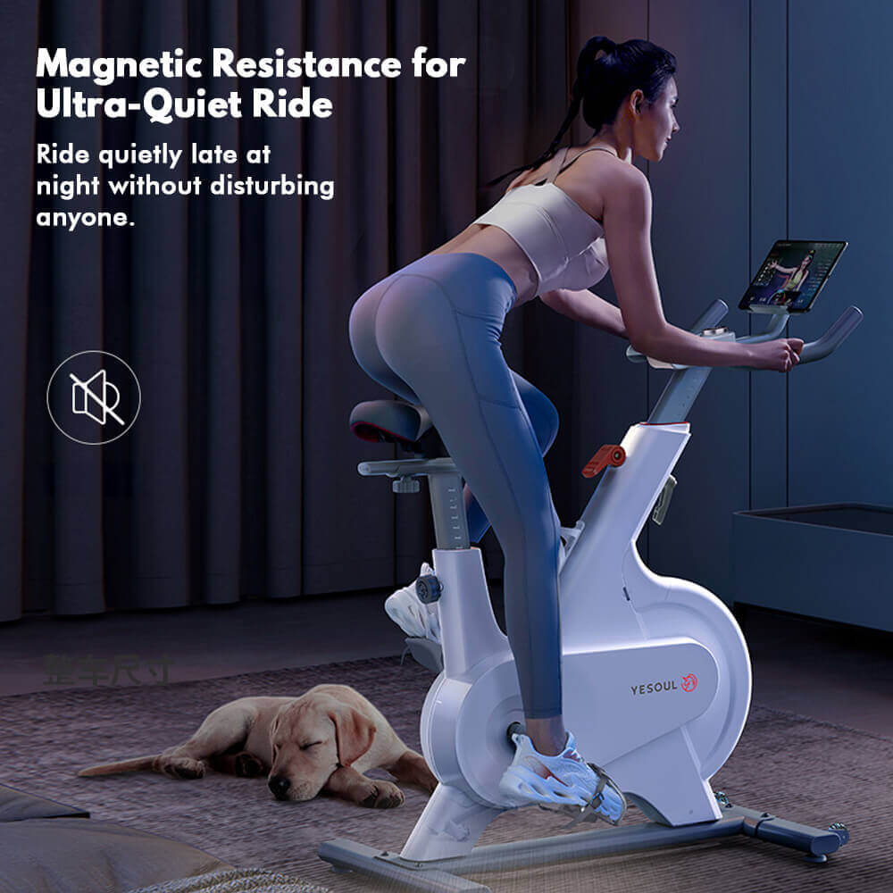 M1p Spin Bike detail image 3