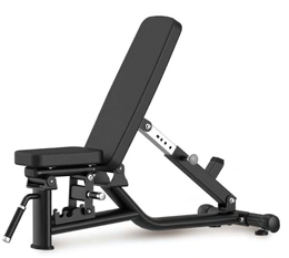 Active Adjustable Bench product image