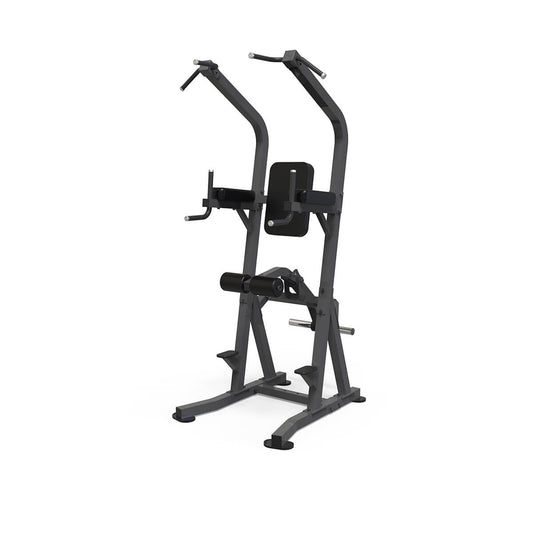Anyfit Anyfit-Chin / Dip Assist — piece of gym equipment available from Gym Machines South Africa