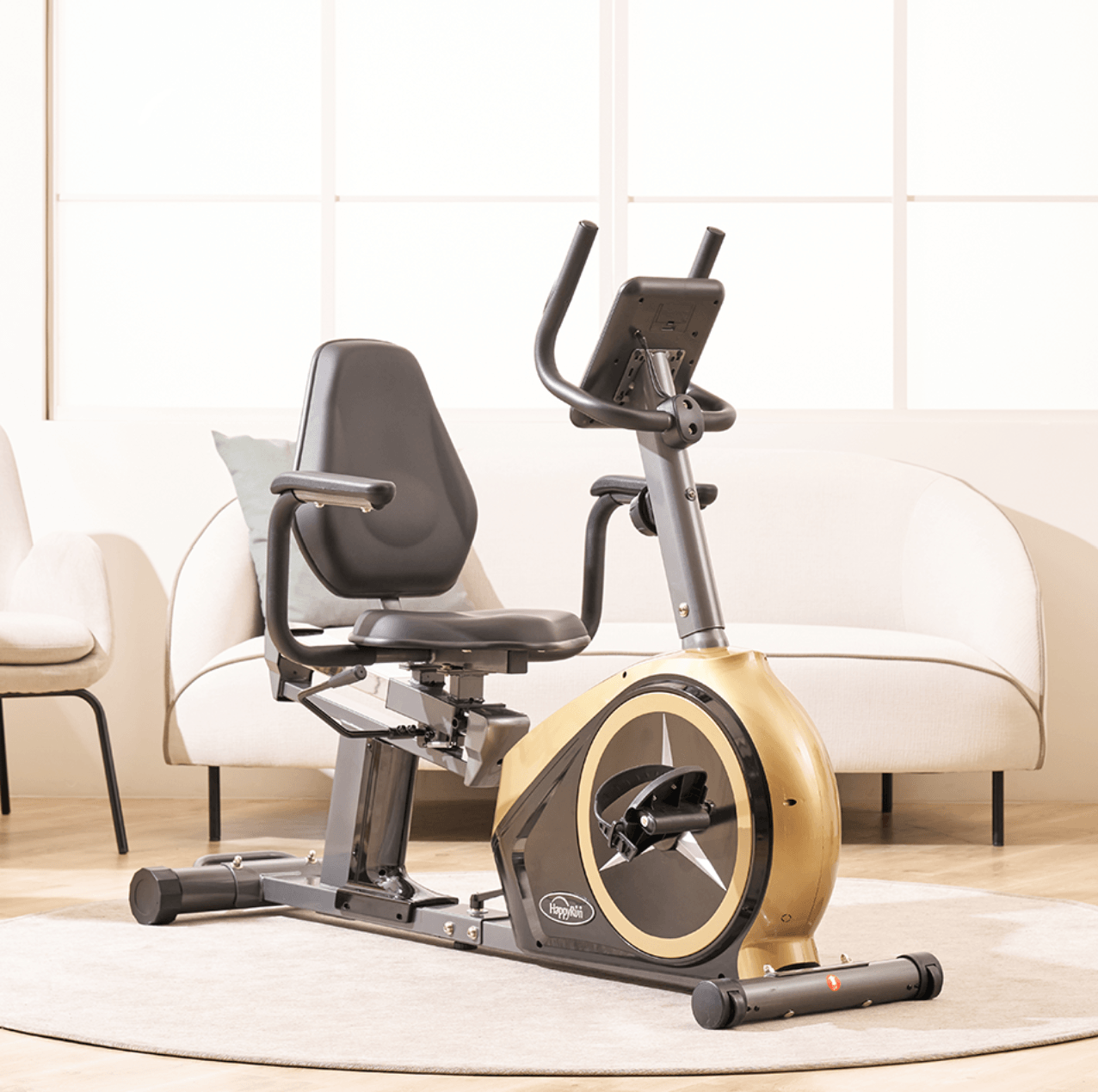 Recumbent Bike detail image 3