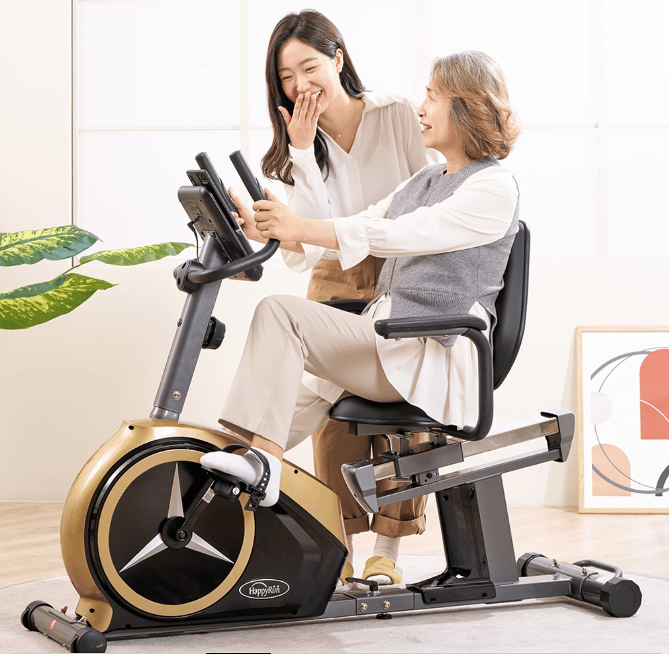 Recumbent Bike detail image 2