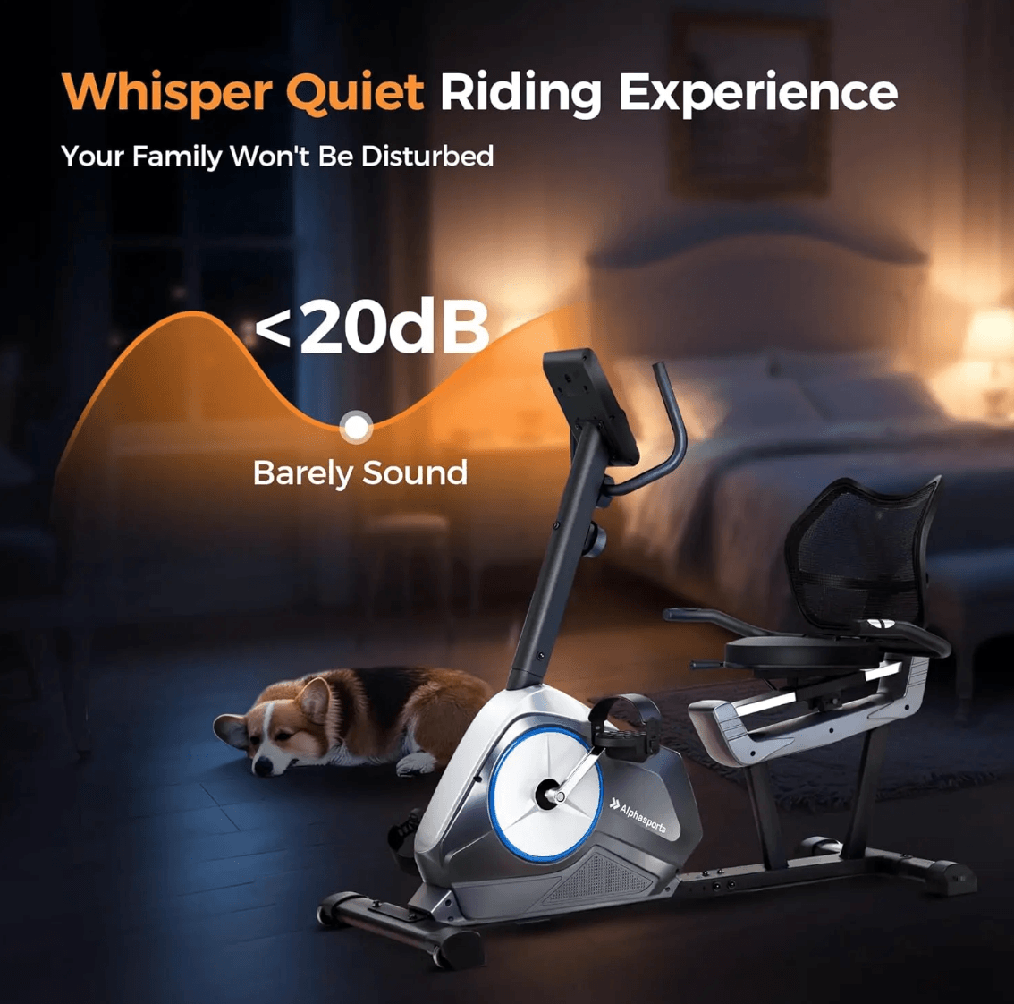 Recumbent Exercise Bike detail image 6