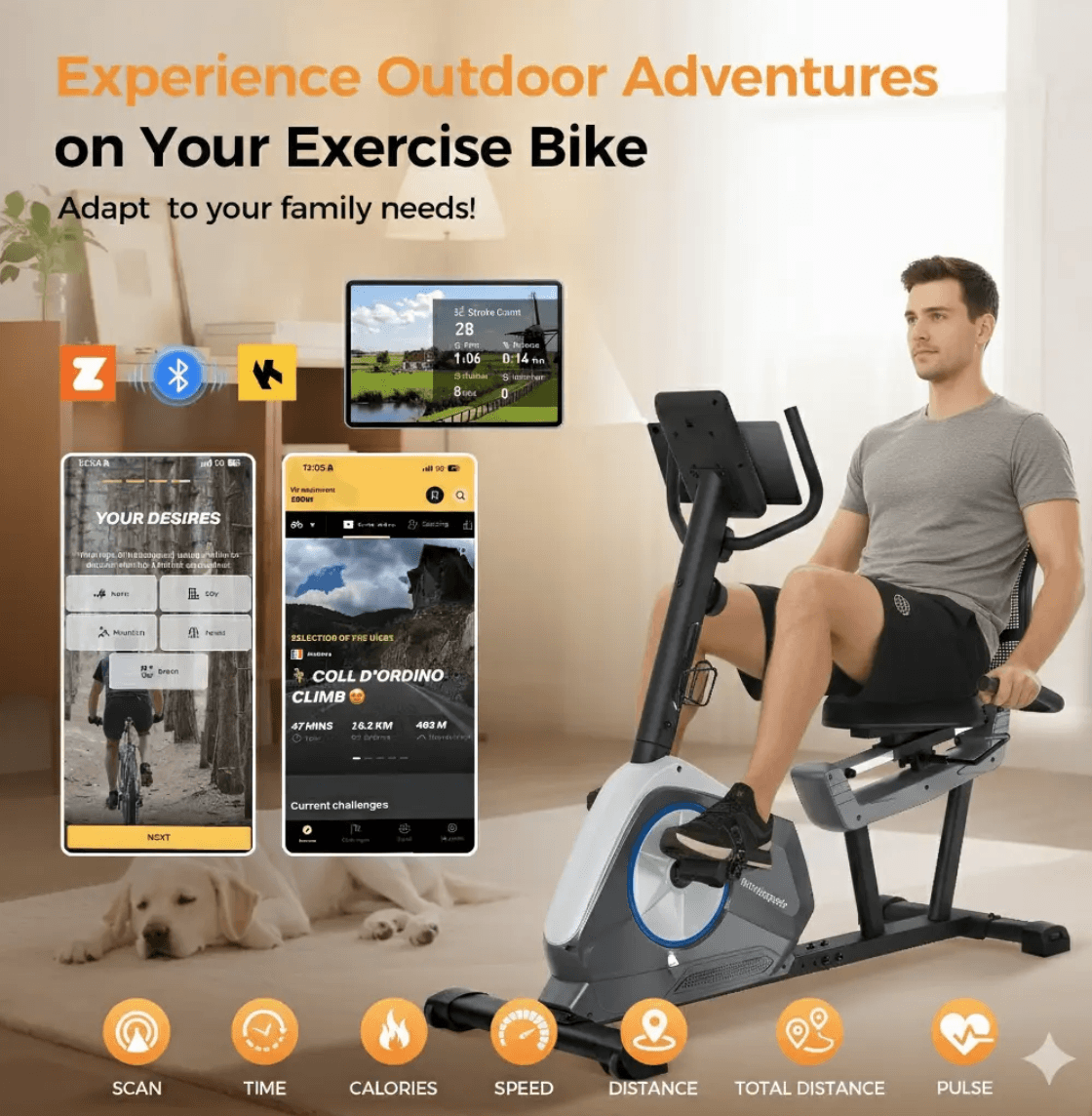 Recumbent Exercise Bike detail image 4